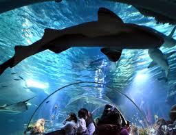 Sea Life Konstanz