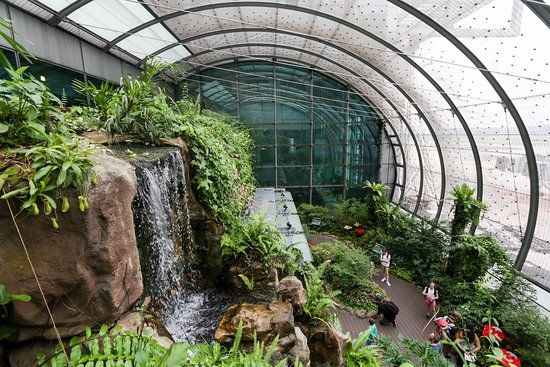 Butterfly Garden
