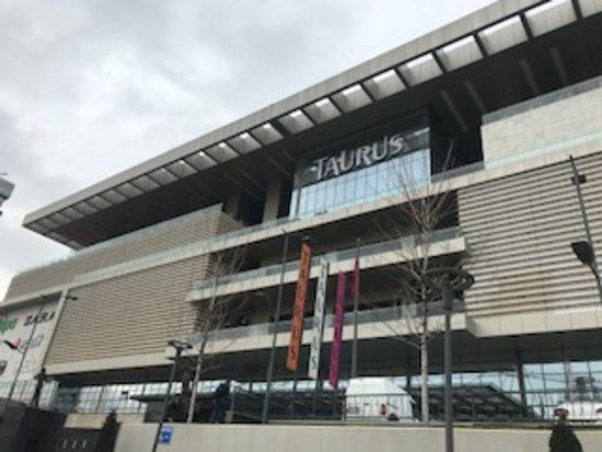 Taurus AVM