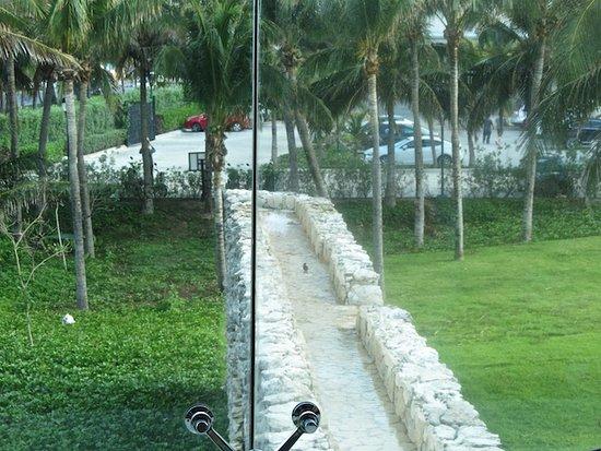 El Mirador