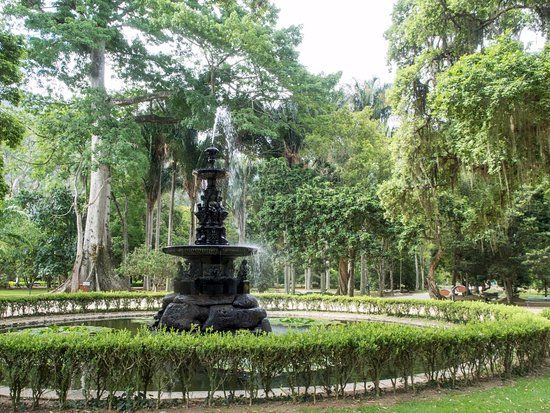 Botanischer Garten Rio de Janeiro