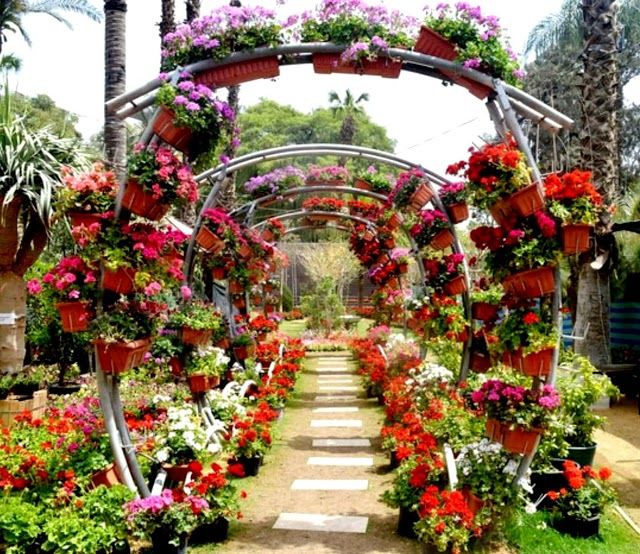 Orman-Garten