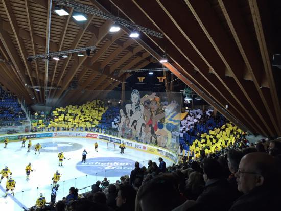 Vaillant Arena