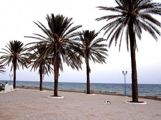 Medina of Hammamet