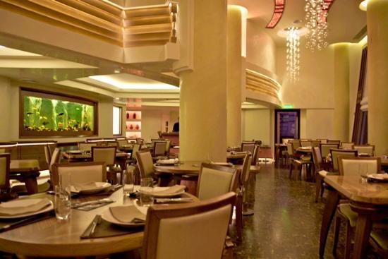 CHi Lounge