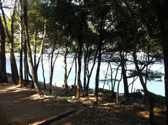 Insel Lokrum