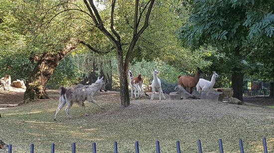 Zoologischer Garten Warschau