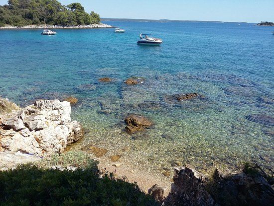 Parkwald Zlatni rt