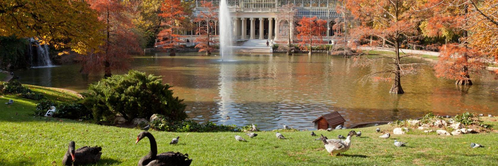 Retiro-Park