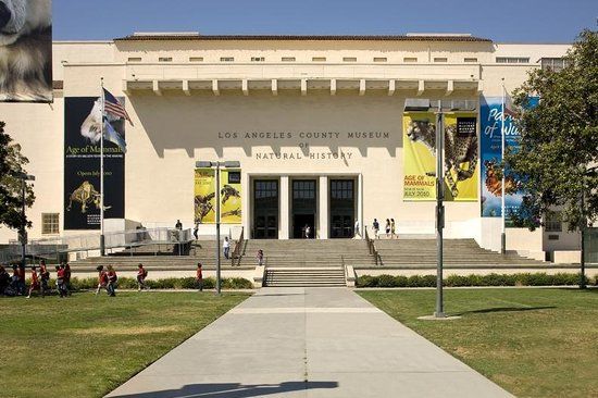 National History Museum of Los Angeles County